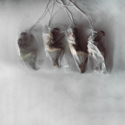 Crown The Empire : Sudden Sky (Single)